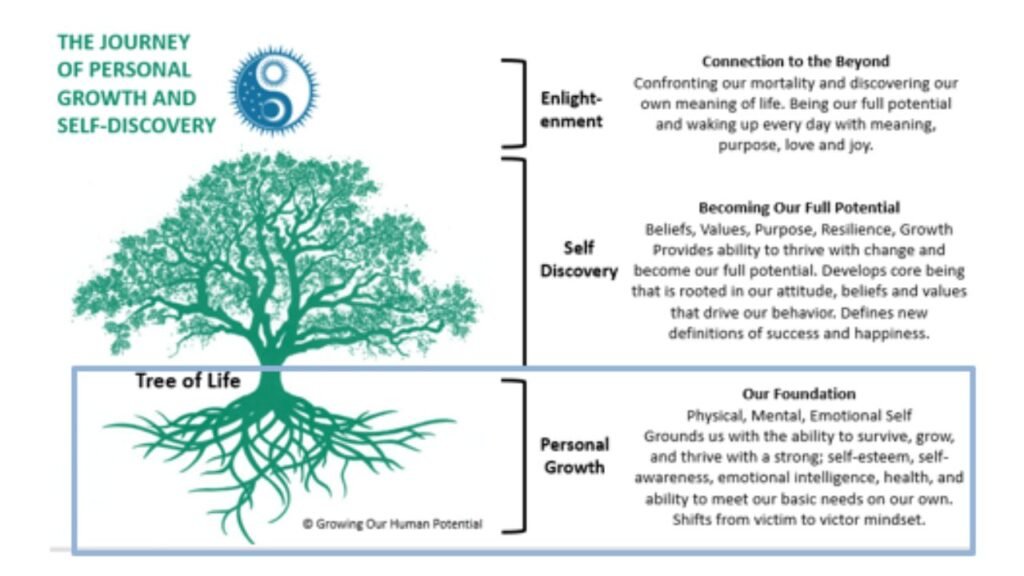 The In-Between Stage of Personal Growth: When Your Old Life No Longer Fits 2 Illustration of a tree showing roots and branches, symbolizing the in-between stage of personal growth through self-discovery, foundation, and inner development
